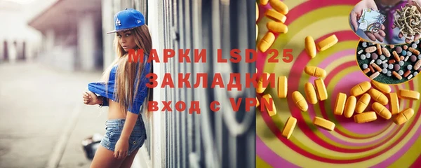 сатива Беломорск