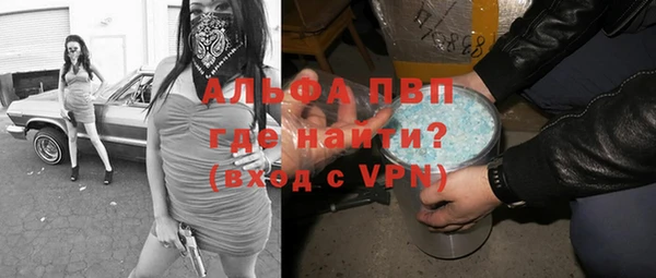 сатива Беломорск
