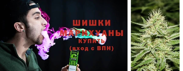 сатива Беломорск