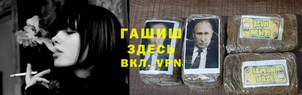 сатива Беломорск