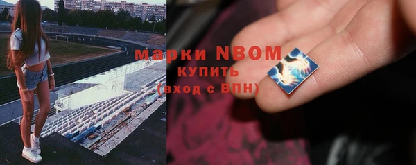 сатива Беломорск
