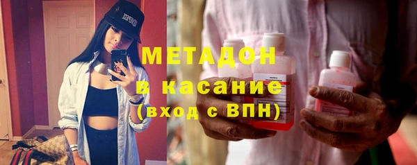 сатива Беломорск