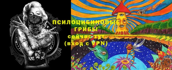 ALPHA-PVP Белокуриха