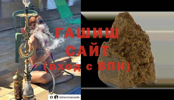 сатива Беломорск