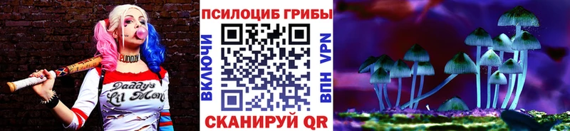 Псилоцибиновые грибы MAGIC MUSHROOMS  продажа наркотиков  Вятские Поляны 