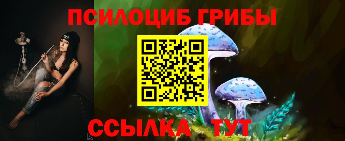 Псилоцибиновые грибы мухоморы Вятские Поляны